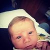 annalexander31